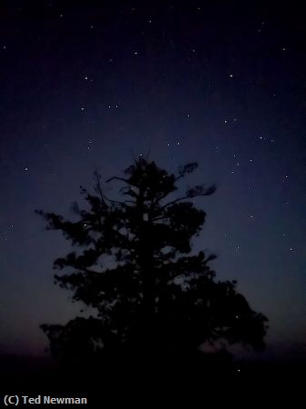 Missing Image: i_0052.jpg - Night Sky over Bryce Canyon