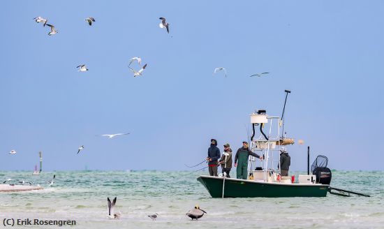 Missing Image: i_0008.jpg - Fisherman-watching-the-birds