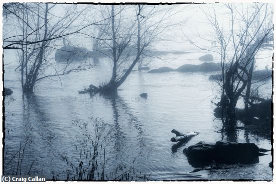 Missing Image: i_0077.jpg - Potomac Dawn