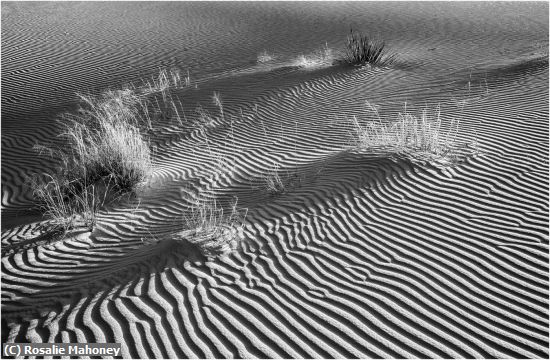 Missing Image: i_0090.jpg - White Sands National Park