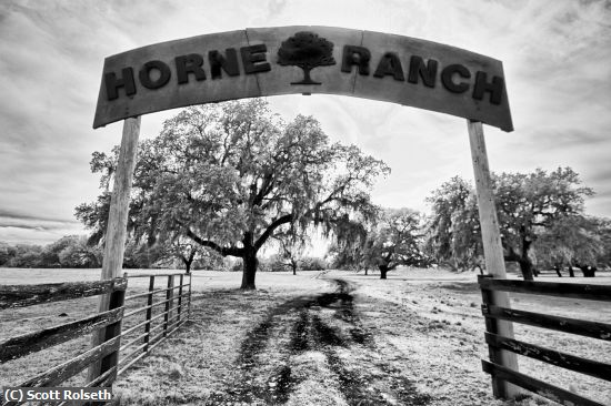 Missing Image: i_0093.jpg - Welcome to Horne Ranch