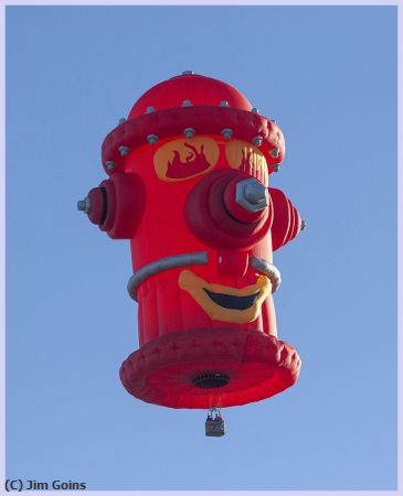 Missing Image: i_0012.jpg - Fire Hydrant Ballon