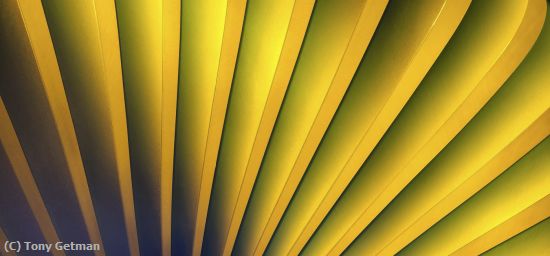 Missing Image: i_0050.jpg - Yellow Abstract
