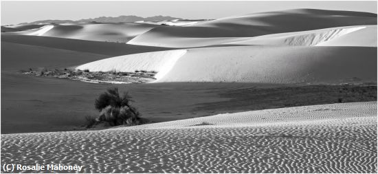 Missing Image: i_0081.jpg - White Sands NP