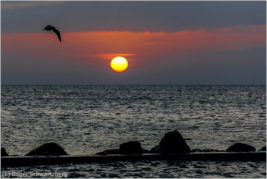 Missing Image: i_0003.jpg - Honeymoon Island Sunset