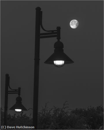 Missing Image: i_0055.jpg - Street Lights in the Moonlight