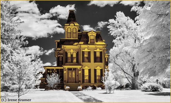 Missing Image: i_0029.jpg - Davenport House - Infrared