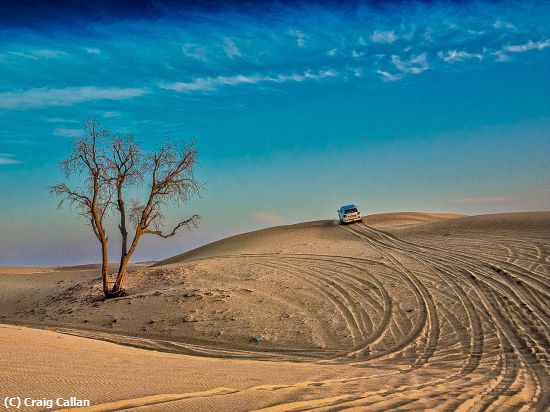 Missing Image: i_0044.jpg - In the Rub Al'Khali