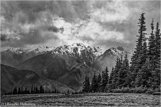 Missing Image: i_0060.jpg - Hurricane Ridge