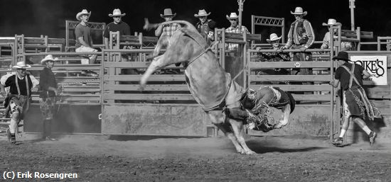 Missing Image: i_0071.jpg - for-the-ground-Rodeo