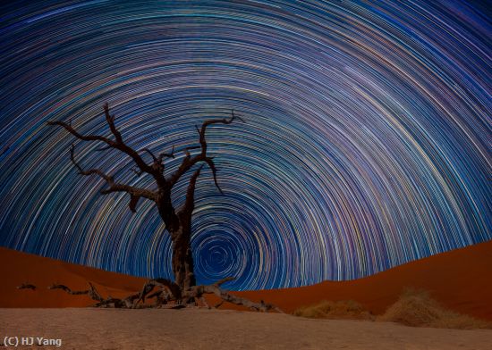 Missing Image: i_0023.jpg - Namibia Star trail