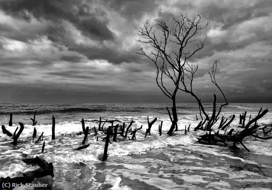 Missing Image: i_0059.jpg - Receding Shoreline