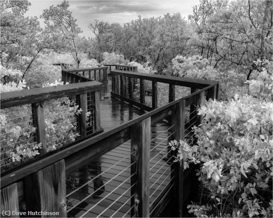 Missing Image: i_0067.jpg - Wet Day on the Boardwalk