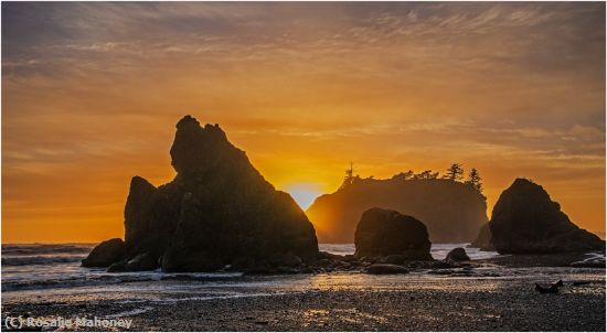 Missing Image: i_0016.jpg - Sunset on Ruby Beach