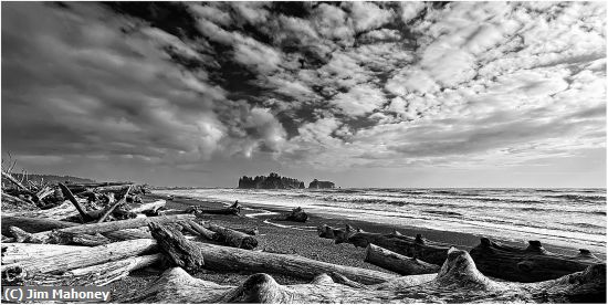 Missing Image: i_0053.jpg - Olympic National Park Logs