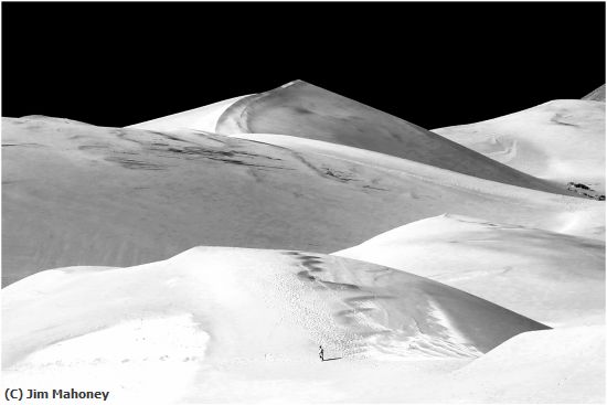 Missing Image: i_0058.jpg - White Sands Walker in Monochrome