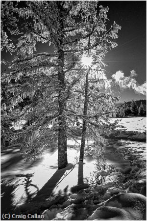 Missing Image: i_0060.jpg - Yellowstone Star