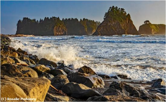 Missing Image: i_0010.jpg - Beach Scene Olympic NP