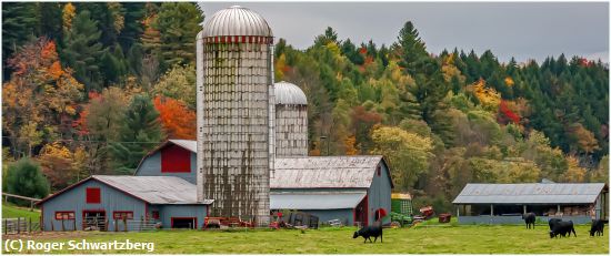 Missing Image: i_0004.jpg - Vermont Country Farm