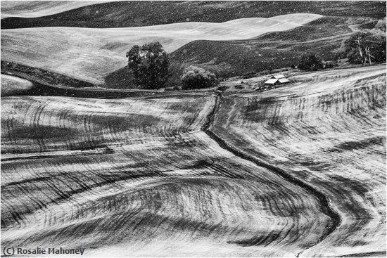 Missing Image: i_0064.jpg - Snowing in the Palouse