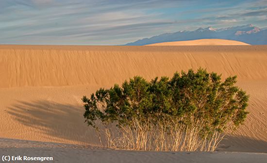 Missing Image: i_0006.jpg - Death-Valley-morning