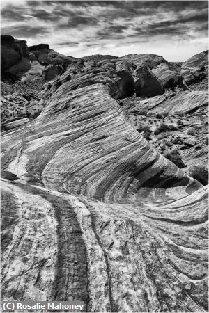 Missing Image: i_0063.jpg - Valley of Fire Wave