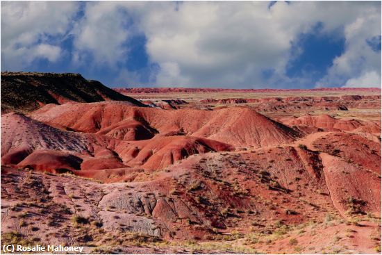 Missing Image: i_0008.jpg - Painted Desert