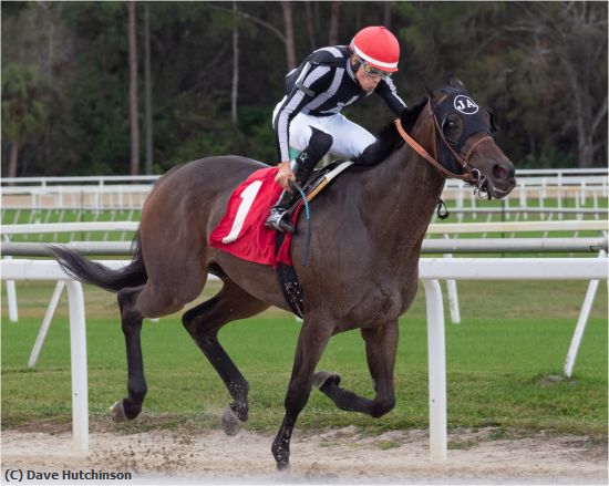 Missing Image: i_0044.jpg - A jockey with style