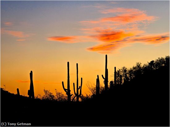 Missing Image: i_0045.jpg - Desert Sunset