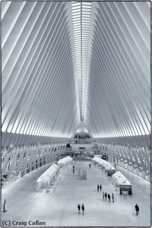 Missing Image: i_0072.jpg - Oculus BW