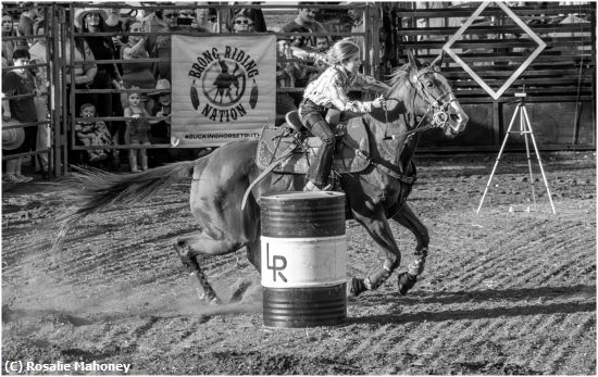 Missing Image: i_0077.jpg - Young Barrel Racer