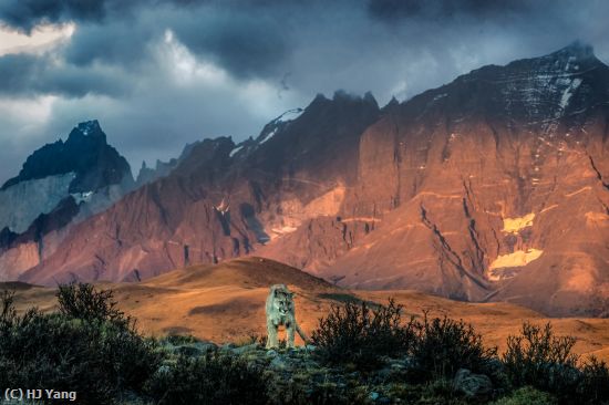 Missing Image: i_0016.jpg - Patagonia