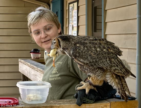 Missing Image: i_0003.jpg - Feeding Time at Rescue Center