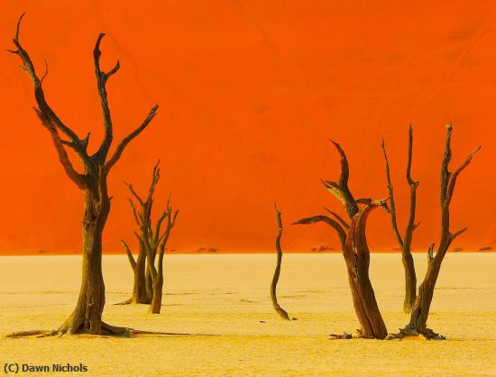 Missing Image: i_0006.jpg - Desert Memory