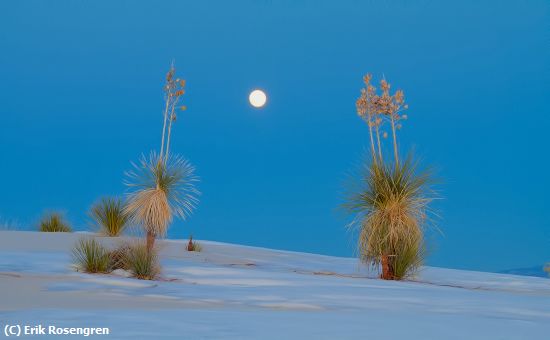 Missing Image: i_0007.jpg - Moon-Rise-White-Sands