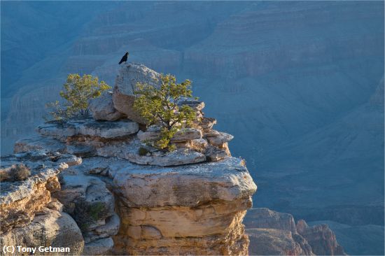 Missing Image: i_0009.jpg - Looking Out Over the Canyon