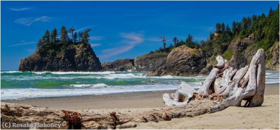 Missing Image: i_0038.jpg - Beach Scene Olympic National Park