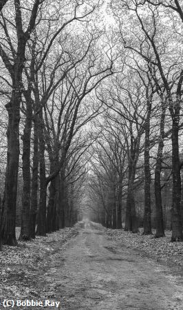 Missing Image: i_0059.jpg - Country Road