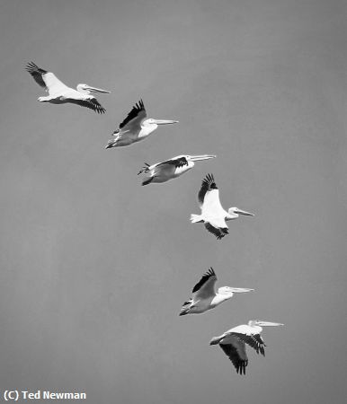 Missing Image: i_0074.jpg - rising together