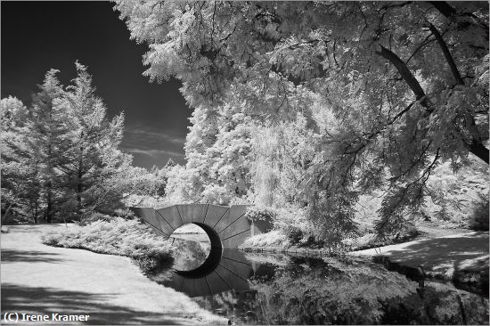 Missing Image: i_0076.jpg - The Bridge Over the Stream