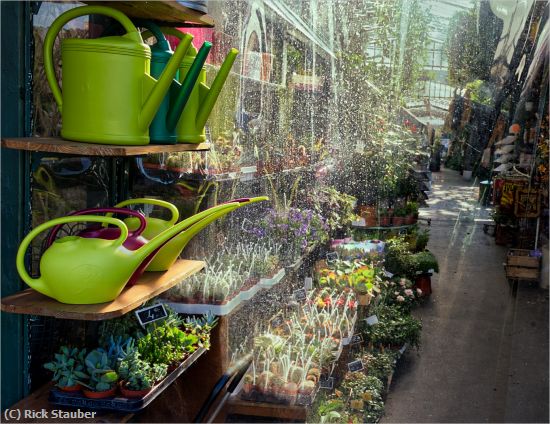 Missing Image: i_0001.jpg - Flower Shop on le de la Cit
