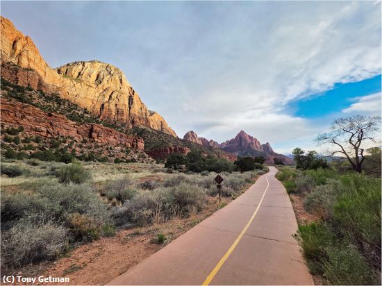 Missing Image: i_0019.jpg - The Road to Watchman Mtn