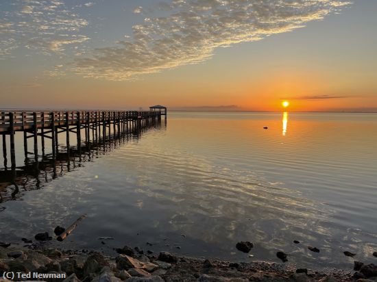 Missing Image: i_0038.jpg - sunrise rotary park