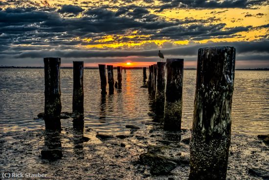 Missing Image: i_0042.jpg - Dunedin Pilings