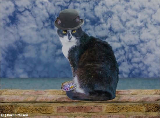 Missing Image: i_0003.jpg - LunchBreak