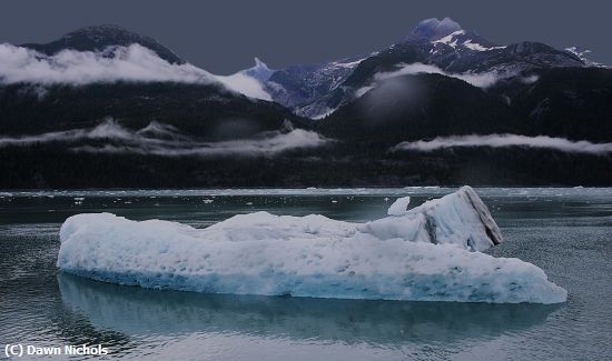 Missing Image: i_0004.jpg - Endicott Arm Alaska