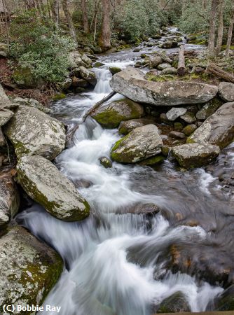 Missing Image: i_0005.jpg - Meandering