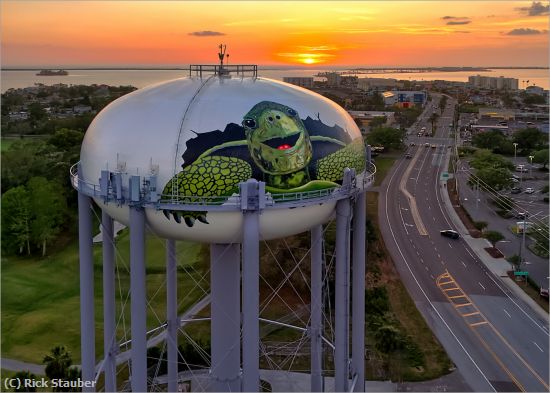 Missing Image: i_0006.jpg - Happy Turtle in Dunedin FL