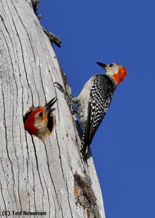 Missing Image: i_0013.jpg - hi there