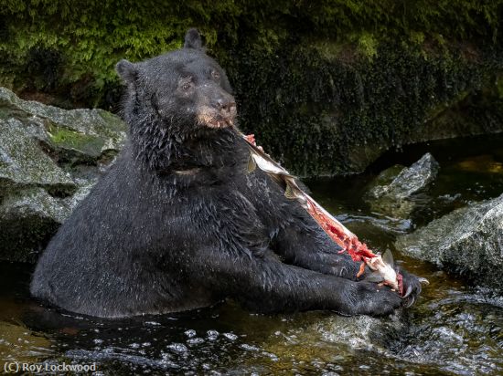 Missing Image: i_0030.jpg - Sooo Good